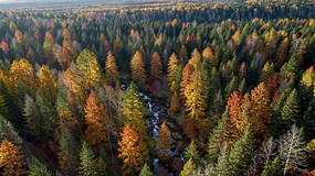 �＾ɭ�ֺ������ȫ��