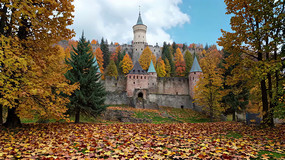 ճǱȻ
