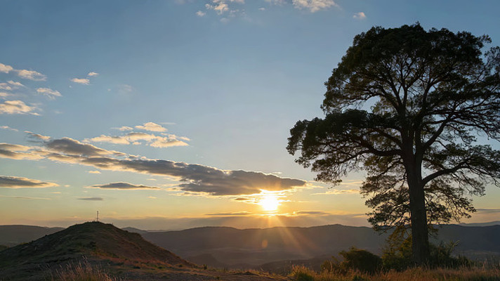 日落时分山巅树木风景 日落时分山巅树木风景