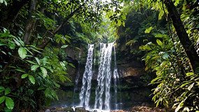 ɭ���е��ٲ���Ȼ����