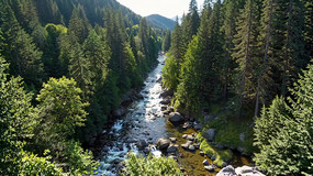 ɭкȫ