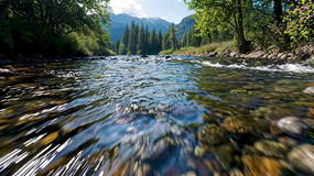 ɽ�����ɭ����Ȼ���