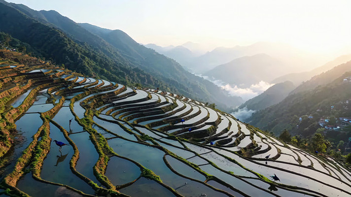 山间梯田全景俯瞰 山间梯田全景俯瞰
