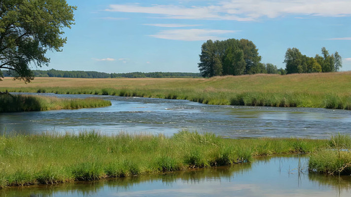 田野河流自然风光 田野河流自然风光