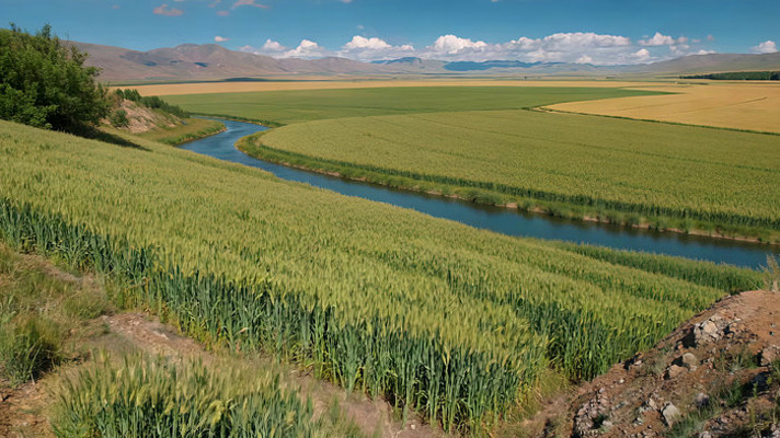 田野间河流与麦田自然风光 田野间河流与麦田自然风光