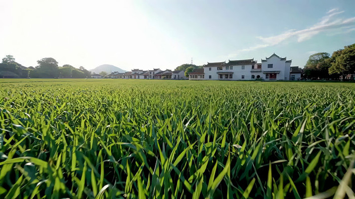 田野旁的中式建筑全景 田野旁的中式建筑全景