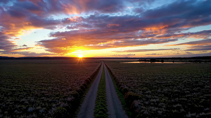 ��Ұ����ȫ��