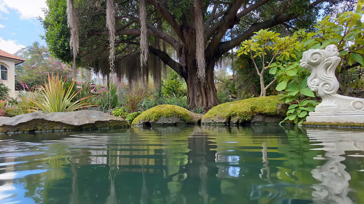 庭院池塘边大树景观