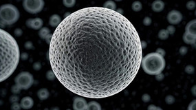 ϸ3DȾز
