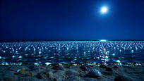 ҹº󷢹Ӿ