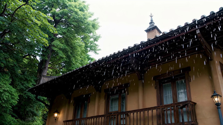 雨中的带阳台房屋与绿树