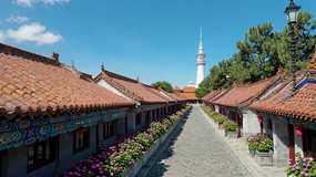 ʽŽԶ