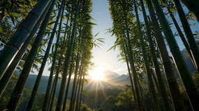 羰