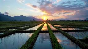 ����������Ȼ���