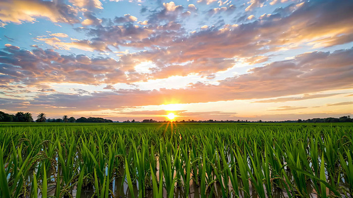 ����������Ȼ���