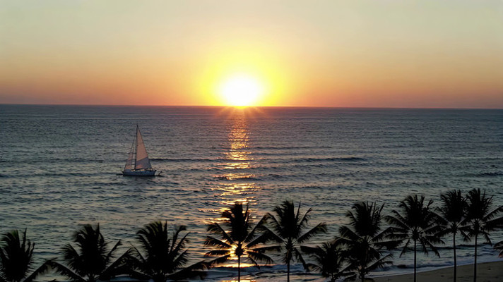 海上日落帆船与棕榈树景观