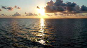 ȫ
