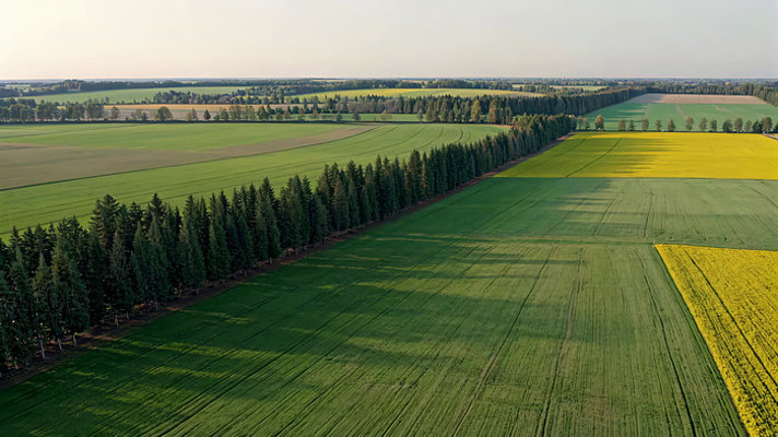 航拍田野风光 航拍田野风光