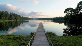ľջȻ