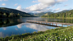 ľջȻ