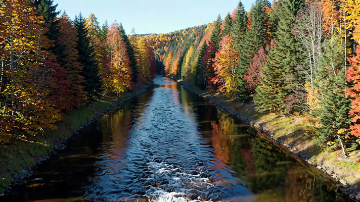 �＾ɭ�ֺ���ȫ��