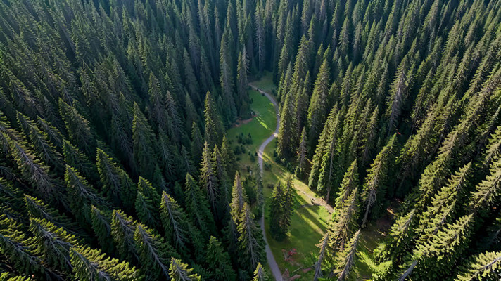 森林航拍全景 森林航拍全景