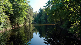 ɭ�ֺ�����Ȼ���