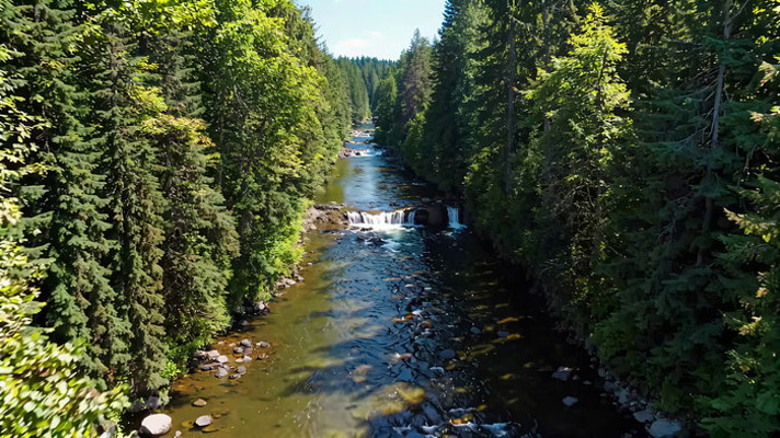 森林中河流俯瞰景象 森林中河流俯瞰景象