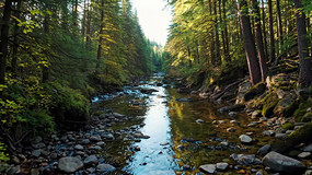 ɭ����Ϫ����Ȼ�羰