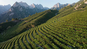 ɽ���԰ȫ��