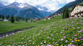 山间花海与村落风景