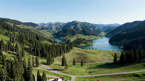 ɽ�����ɭ��ȫ��