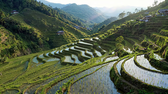 ɽ��������԰���