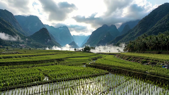 ɽ��������԰���