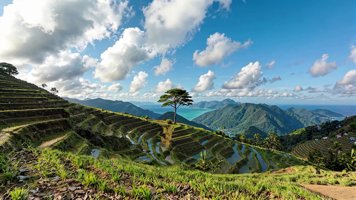 ɽ��������Ȼ���ȫ��