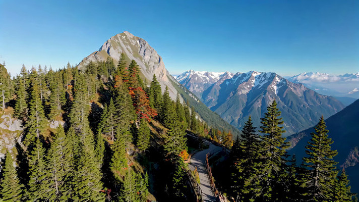 ɽ�ּ�ɽ��ȫ��