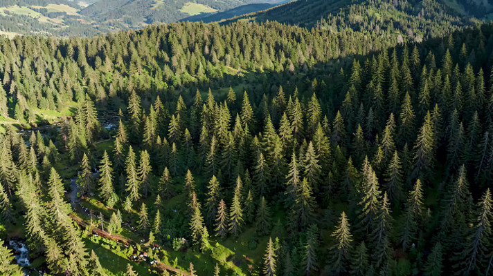 山林鸟瞰茂密森林 山林鸟瞰茂密森林