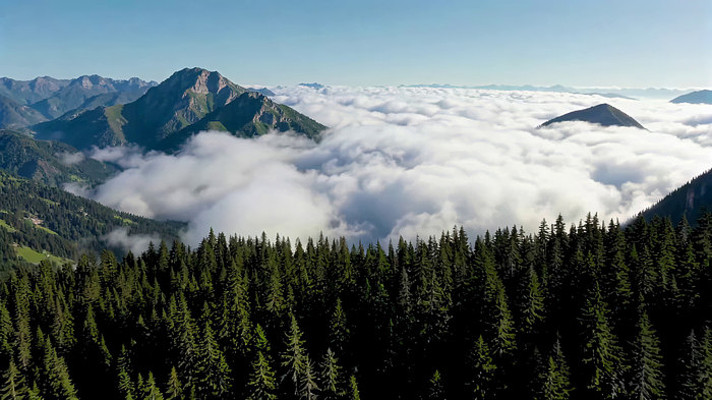 ɽ���ƺ����ȫ��