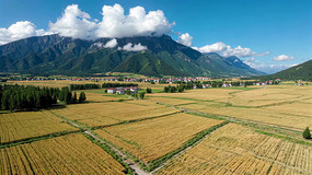 ��Ұ��ׯ��Զɽ����ȫ��