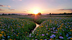 ��Ұ��������羰