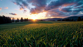 ��Ұ�ճ���Ȼ���