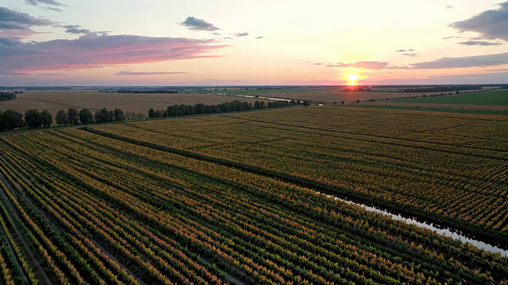 ��Ұ���亽��ȫ��