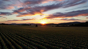 ��Ұ����ȫ��