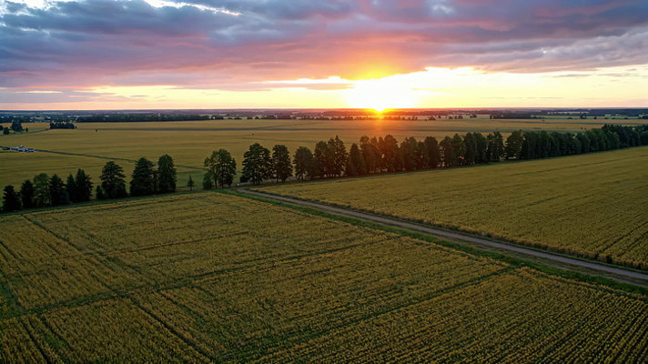 ��Ұ����ȫ��