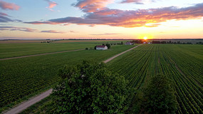 ��Ұ����ȫ�����