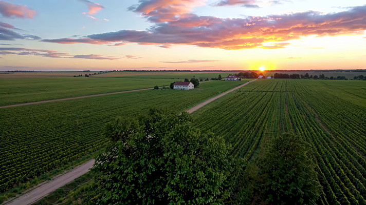 ��Ұ����ȫ�����