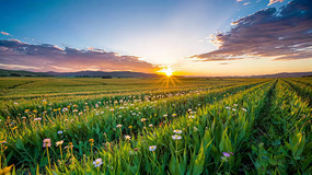 ��Ұ������Ȼ���