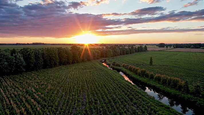 田野夕阳全景 田野夕阳全景