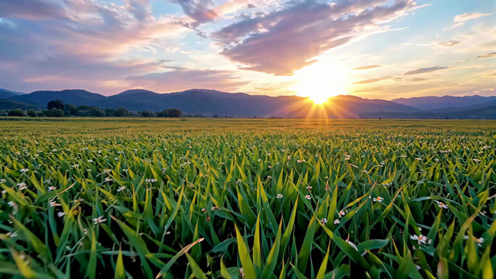 ��ҰϦ����Ȼ���