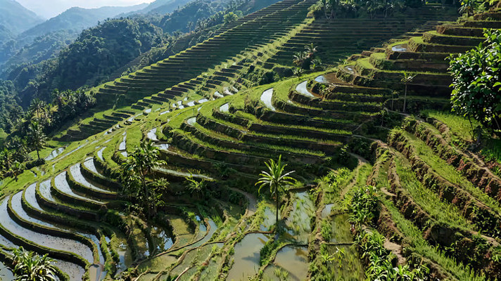 田园梯田自然风光 田园梯田自然风光